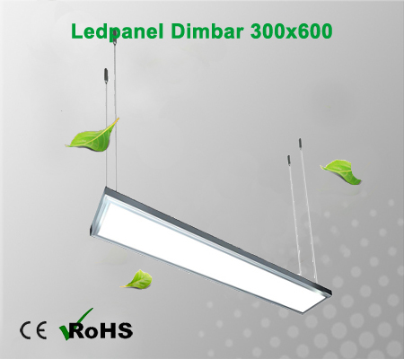 Ledpanel Dimbar 300x600