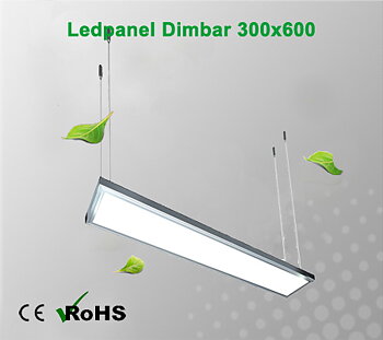 Ledpanel Dimbar 300x600