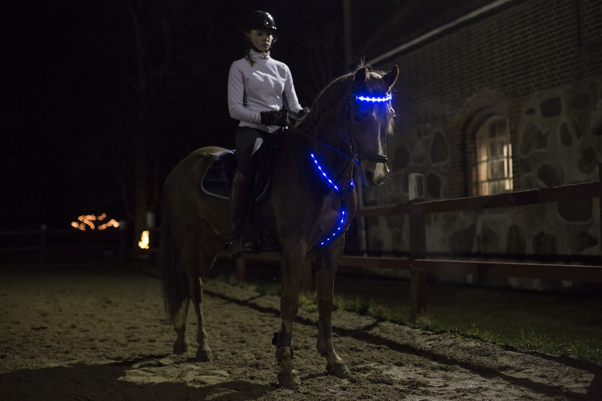 LED Pannband/nosband - 6