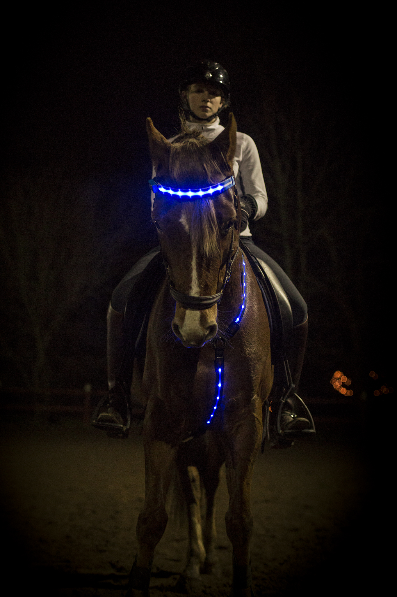 LED Pannband/nosband - 5