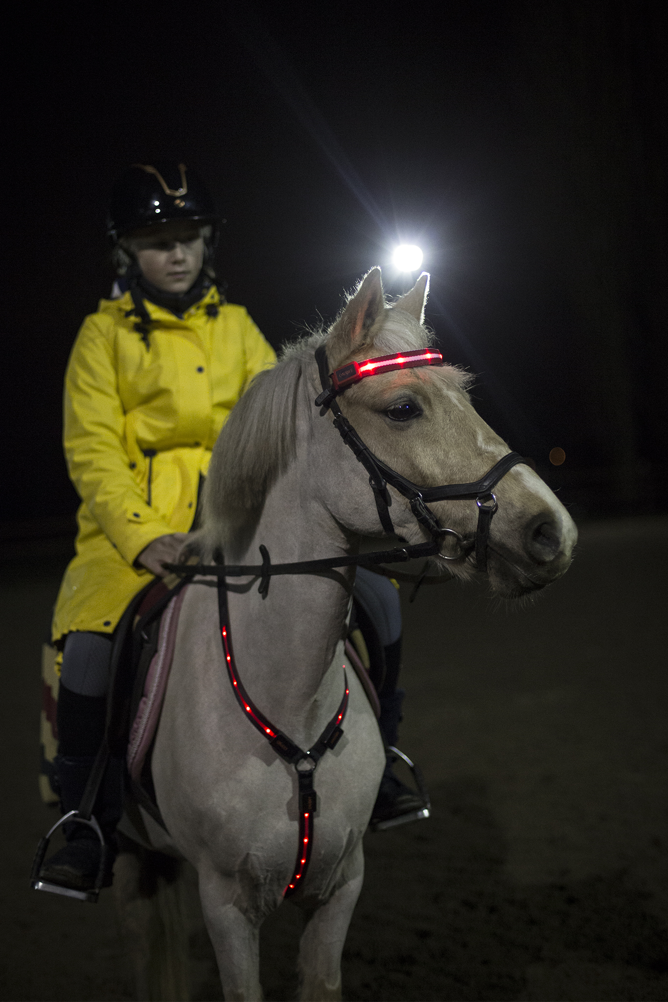 LED Pannband/nosband - 7