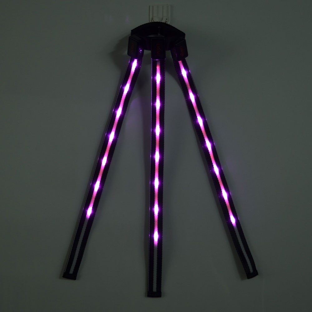 LED Svansljus - 2