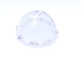Glasblomma