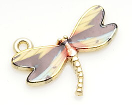 Dragonfly mångfärgad