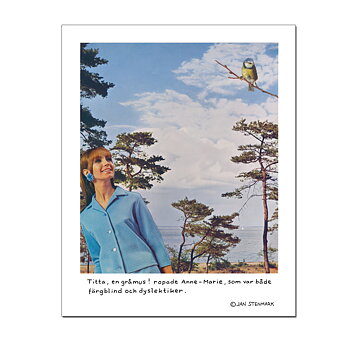 Affisch Jan Stenmark 'Gråmus' pieni 24x30 cm