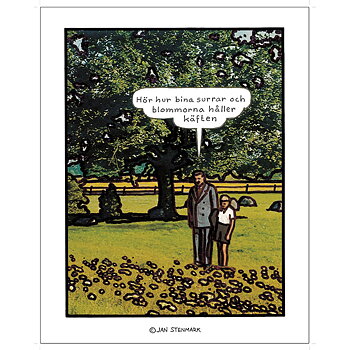 Poster Jan Stenmark "Blommorna" small 24x30 cm