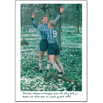 Postcard Jan Stenmark "Mål"