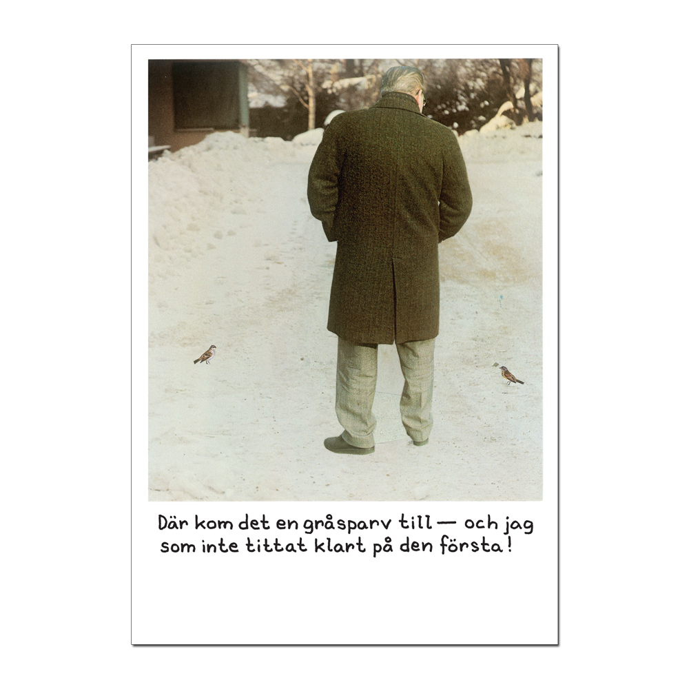 Postcard Jan Stenmark "Sparv"
