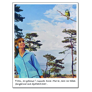Magnet Jan Stenmark 'Gråmus'
