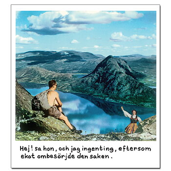 Magnet Jan Stenmark 'Ekot'