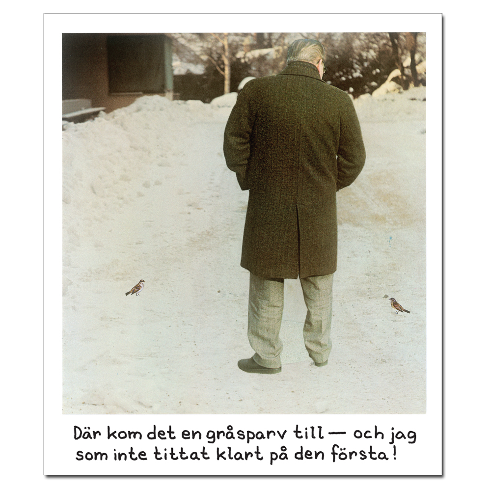 Magneetti Jan Stenmark 'Gråsparv'