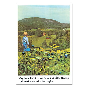 Magnet Jan Stenmark 'Blåbär'