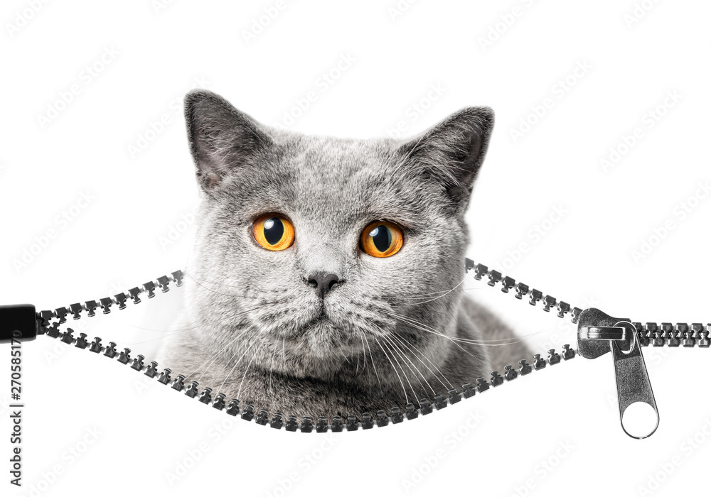 Vi byter dragkedjor i jackor och byxor  