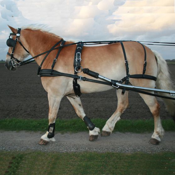 MARATONSELE IDEAL EURO TECH SYNTET - 2