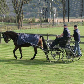 REGNTÄCKE FÖR KÖRNING - 5