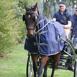 REGNTÄCKE MED HALS