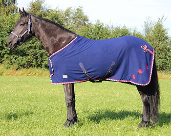 FRIESERTÄCKE FLEES