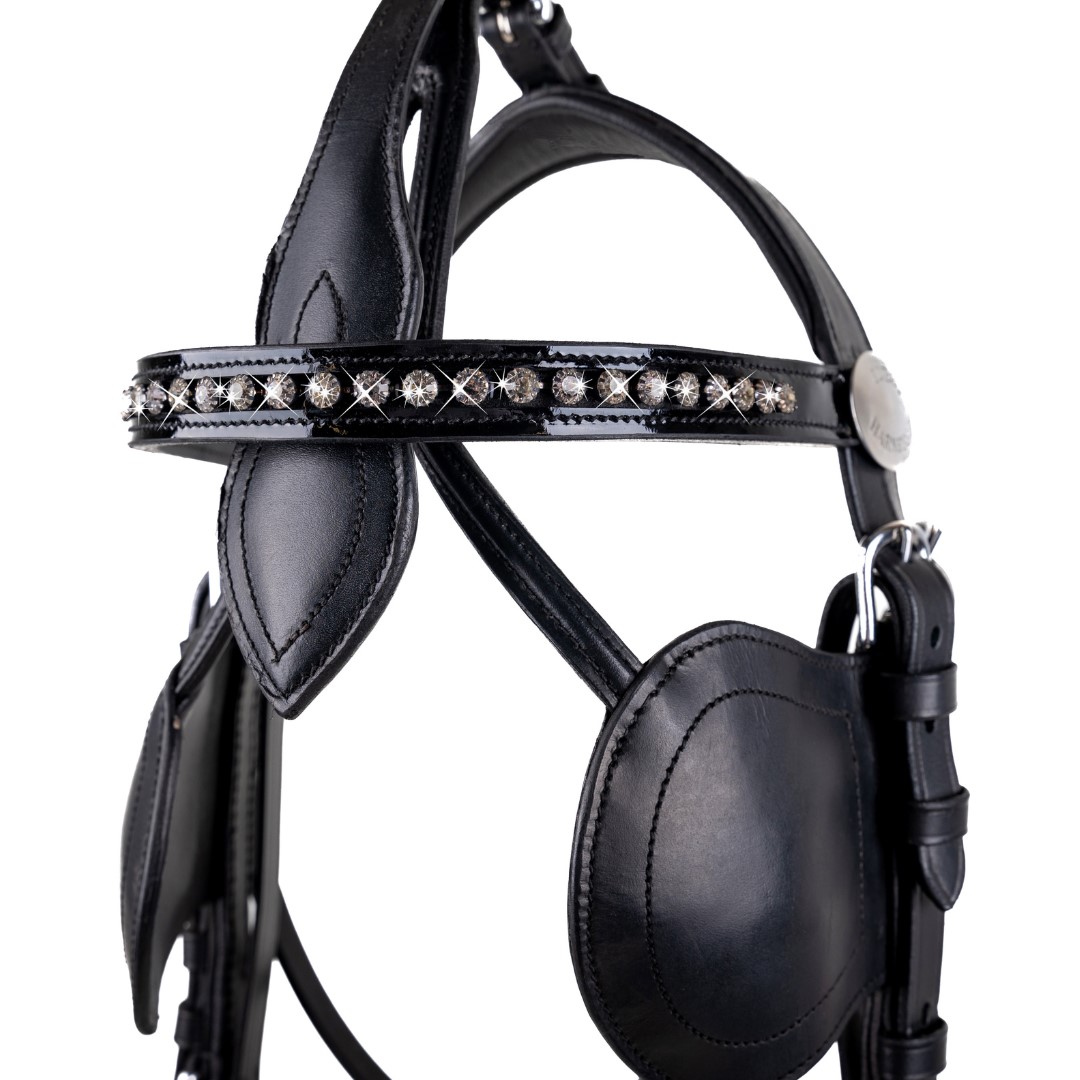 PANNBAND I LACK OCH STRASS