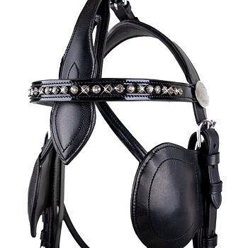 PANNBAND I LACK OCH STRASS