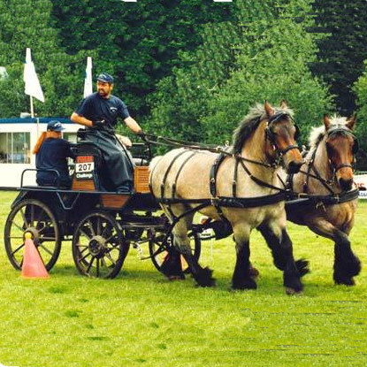 MARATONSELE SHIRE - 2