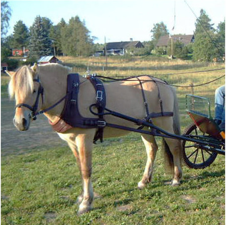 MARATONSELE IDEAL LUX MED FRANSKBRÖSTA