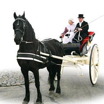 FRIESERSELE