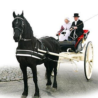 FRIESERSELE