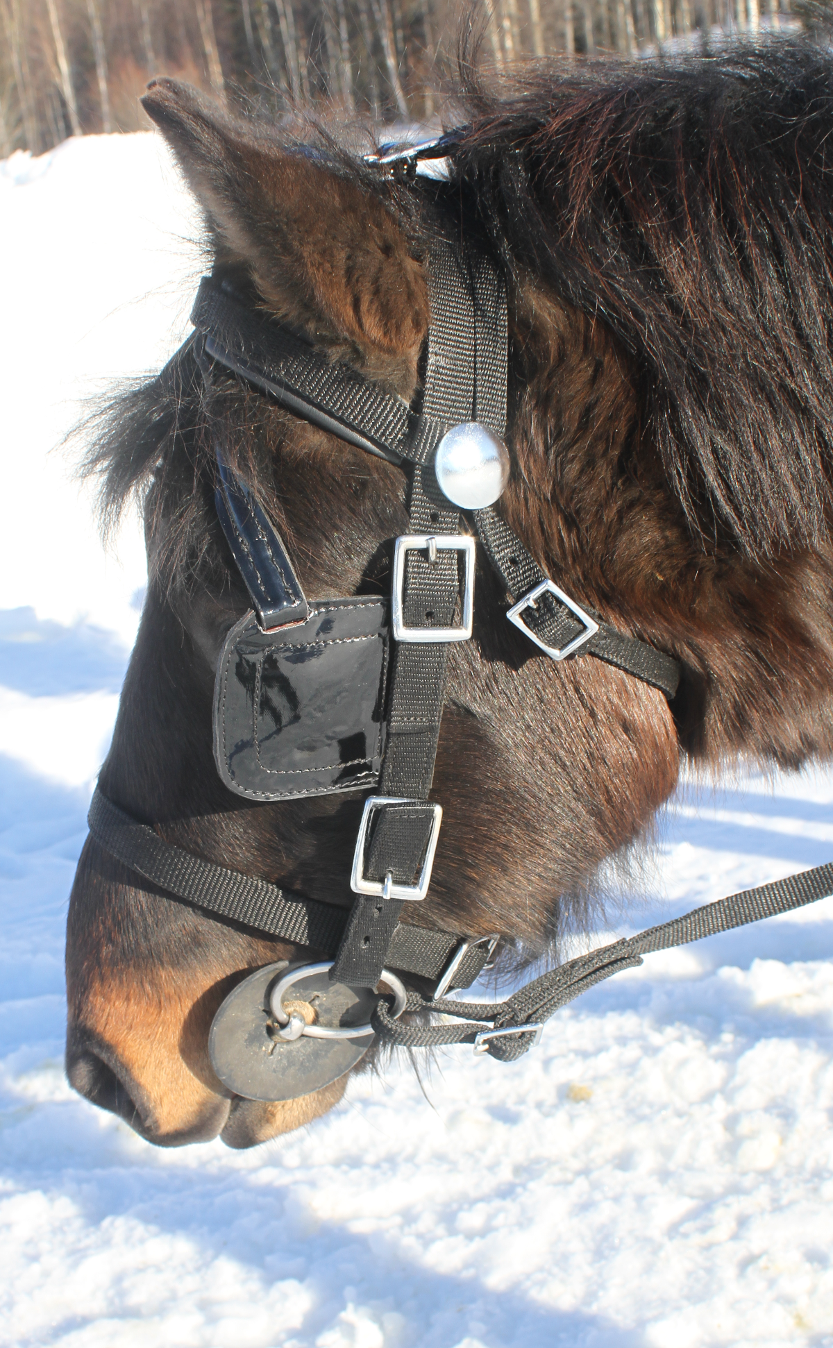 NYLONSELE MED SNABBKOPPLING - 3