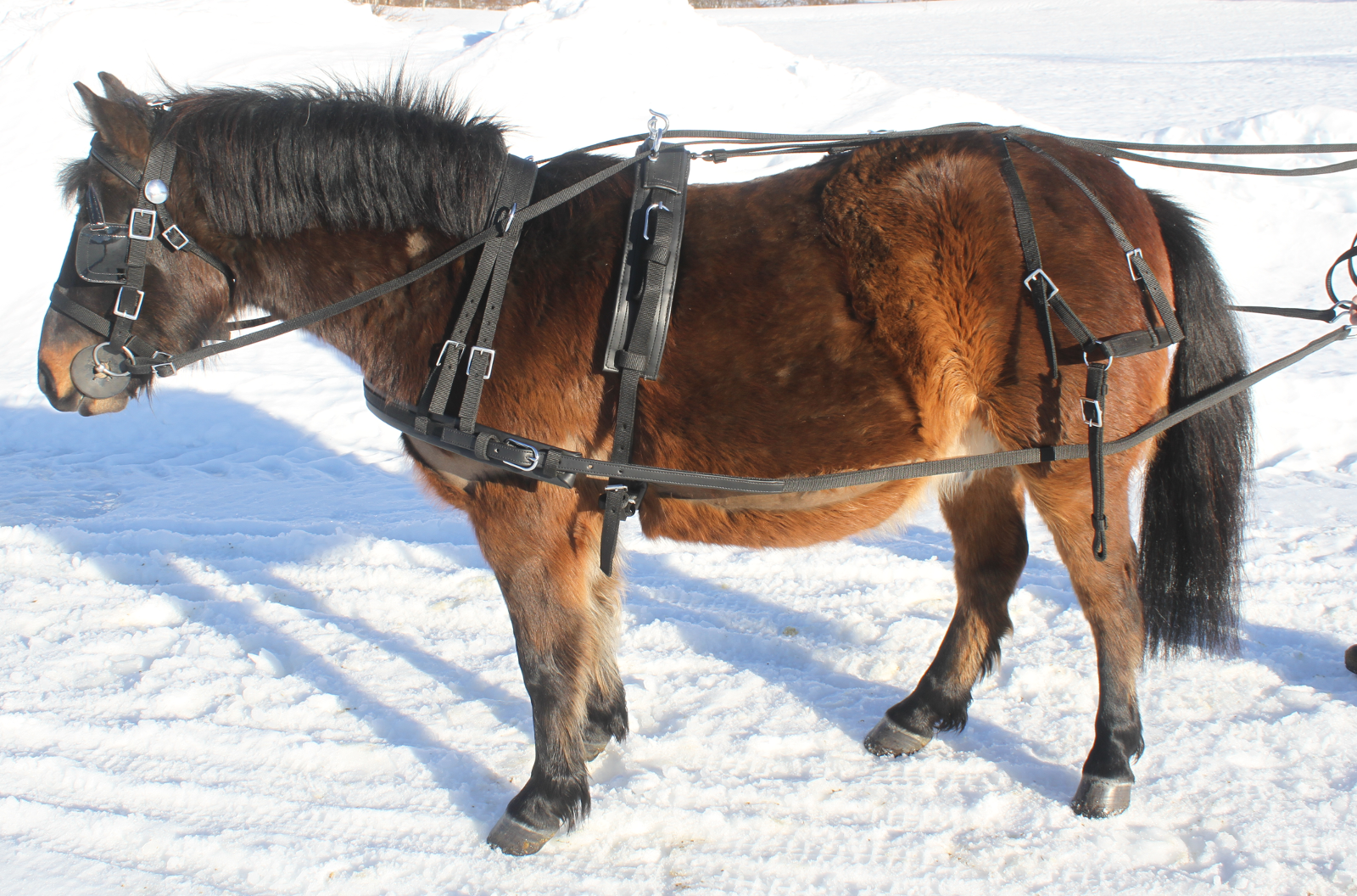 NYLONSELE MED SNABBKOPPLING