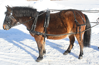 NYLONSELE MED SNABBKOPPLING