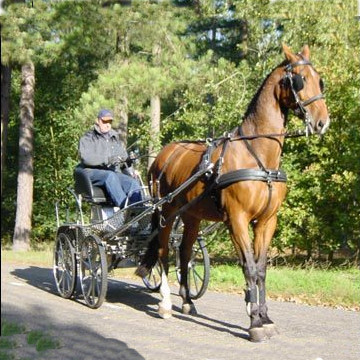 MARATONSELE LEDER TECH ENBET KOMBI - 4