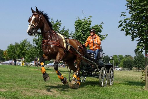 MARATONSELE LEDER TECH ENBET KOMBI
