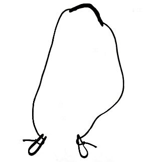 LINBÄRARE