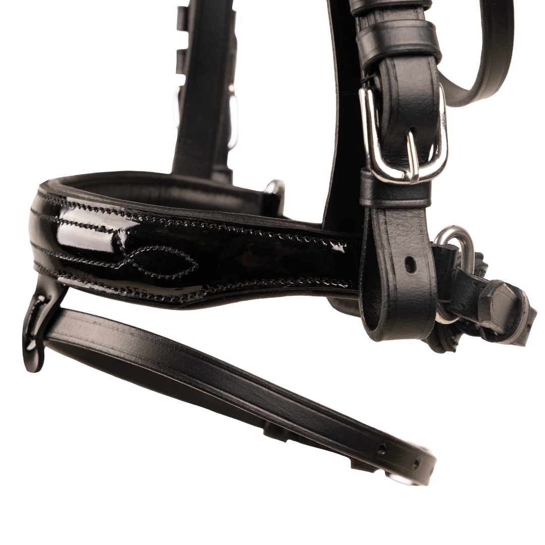 ANATOMISKT HUVUDLAG LUX - 2
