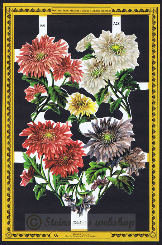 A028 blommor