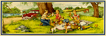 Stor bonad. -utflykt med bilen och picknick i det gröna. 