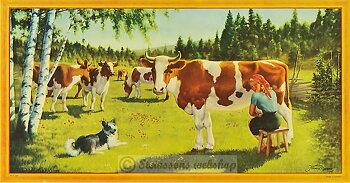 Tipical swedish vintage posters
