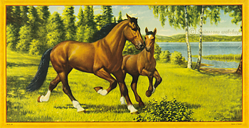 Liten bonad. -Hästar som skenar av Anders Olsson från 1950talet