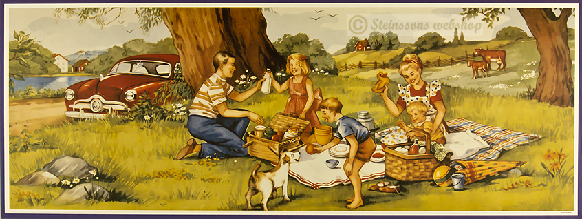 Stor bonad. -utflykt med bilen och picknick i det gröna. .