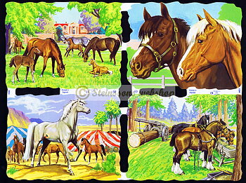 MPL1533-34
