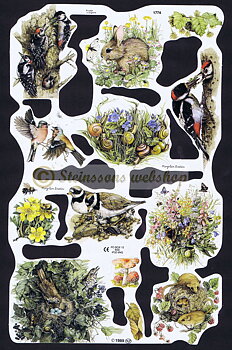 MPL1774  Marjolein Bastin