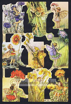 MPL1959  Cicely Mary Barker