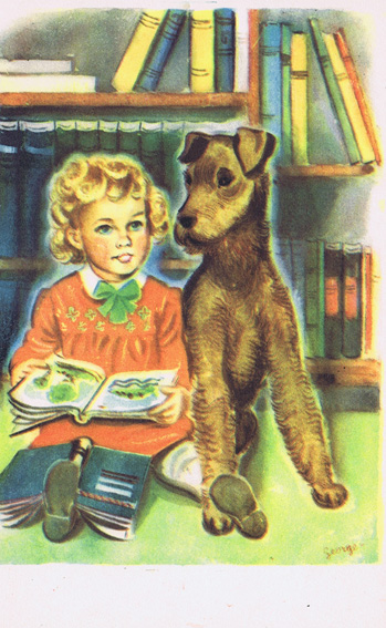Vintage 50s, postcard with address bar at the back