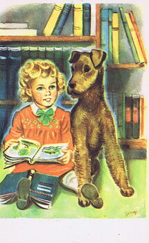 Vintage 50s, postcard with address bar at the back
