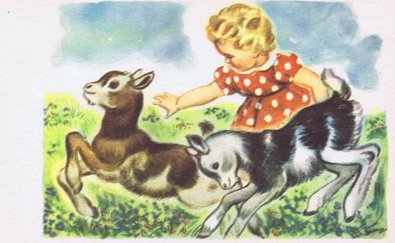 Vintage 50s, postcard with address bar at the back
