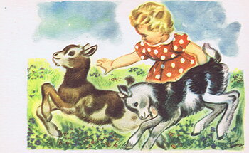 Vintage 50s, postcard with address bar at the back