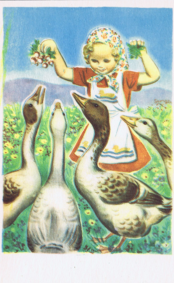 Vintage 50s, postcard with address bar at the back