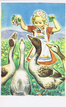 Vintage 50s, postcard with address bar at the back