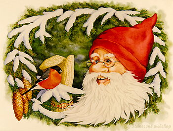 Liten bonad - Tomte och domherre av Lena Pettersson 