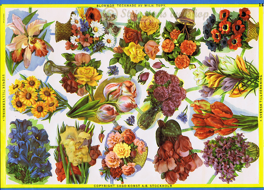 Blommor av W.Tupy nr. 14